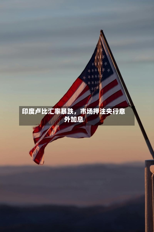 印度卢比汇率暴跌，市场押注央行意外加息-第2张图片