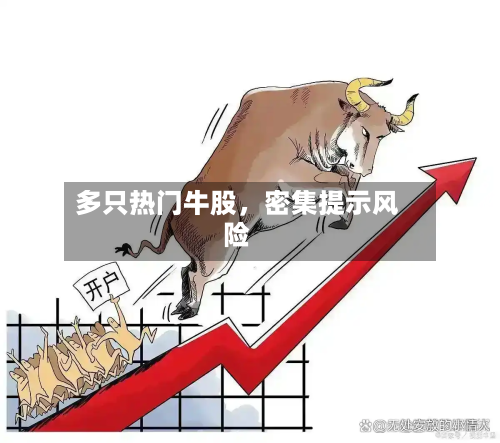 多只热门牛股，密集提示风险-第2张图片