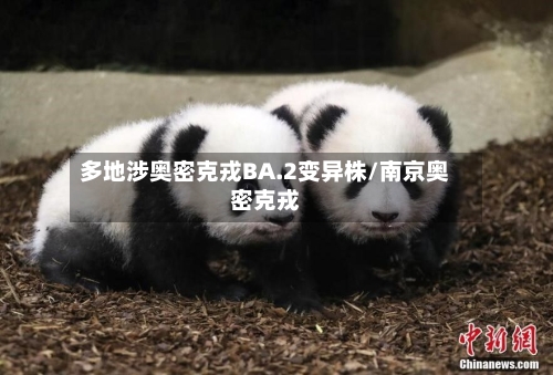 多地涉奥密克戎BA.2变异株/南京奥密克戎