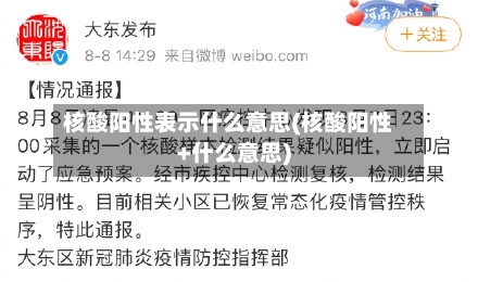核酸阳性表示什么意思(核酸阳性+什么意思)-第2张图片