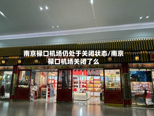 南京禄口机场仍处于关闭状态/南京禄口机场关闭了么