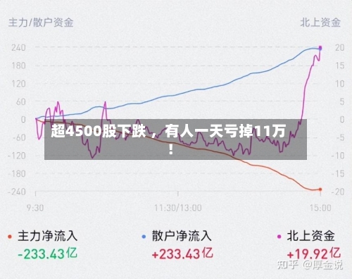 超4500股下跌 ，有人一天亏掉11万！-第2张图片