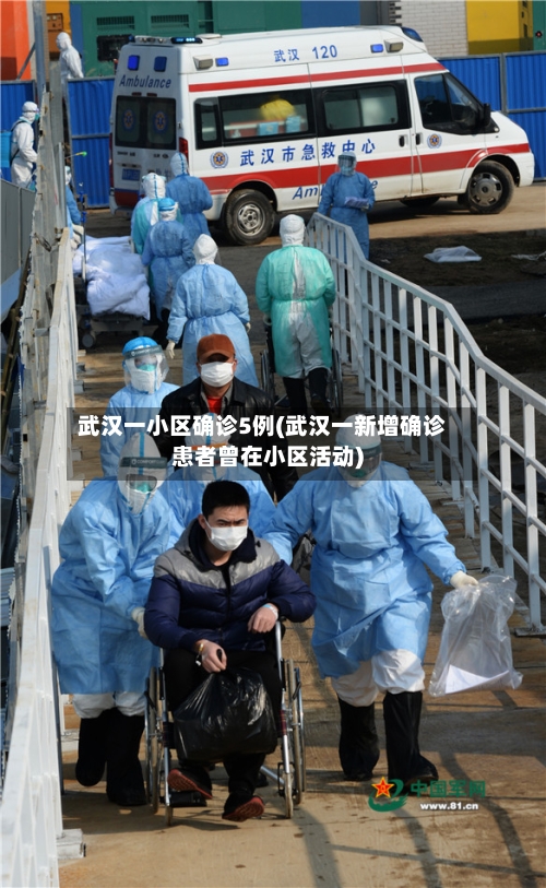 武汉一小区确诊5例(武汉一新增确诊患者曾在小区活动)-第3张图片