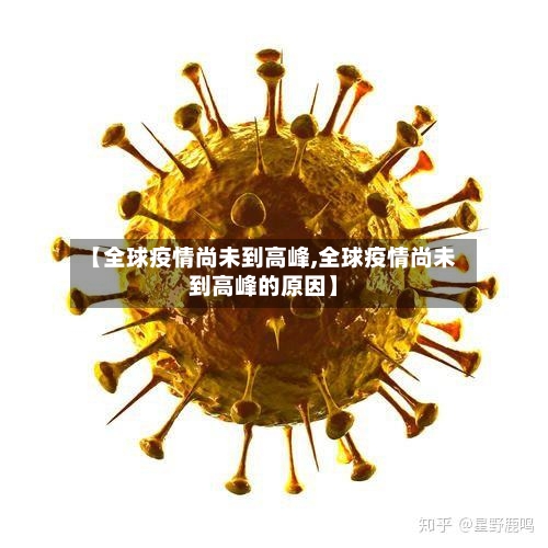 【全球疫情尚未到高峰,全球疫情尚未到高峰的原因】-第2张图片