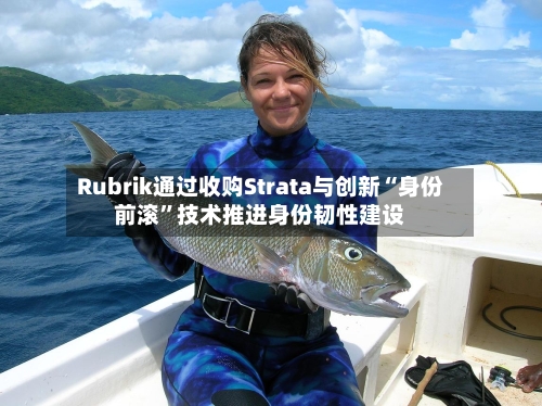 Rubrik通过收购Strata与创新“身份前滚”技术推进身份韧性建设-第2张图片