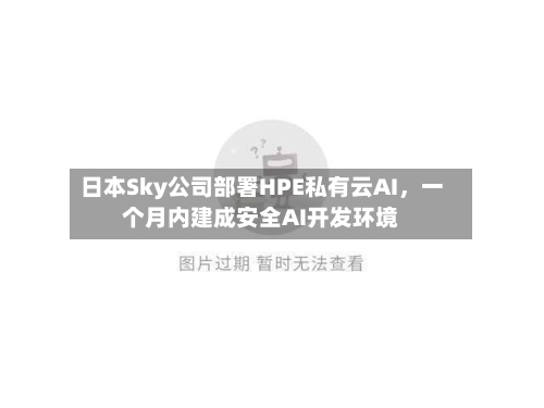 日本Sky公司部署HPE私有云AI，一个月内建成安全AI开发环境-第3张图片