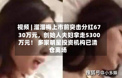 视频 | 溜溜梅上市前突击分红6730万元，创始人夫妇拿走5300万元！ 多家明星投资机构已清仓离场-第2张图片