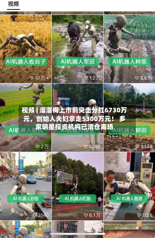 视频 | 溜溜梅上市前突击分红6730万元，创始人夫妇拿走5300万元！ 多家明星投资机构已清仓离场-第3张图片