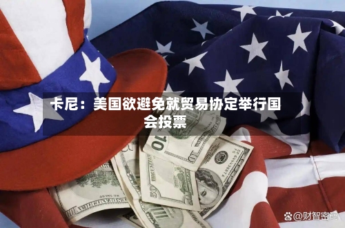 卡尼：美国欲避免就贸易协定举行国会投票