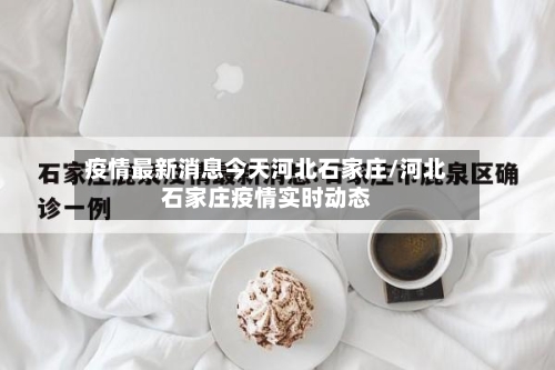 疫情最新消息今天河北石家庄/河北石家庄疫情实时动态-第2张图片