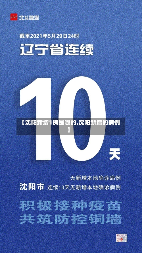 【沈阳新增1例是哪的,沈阳新增的病例】