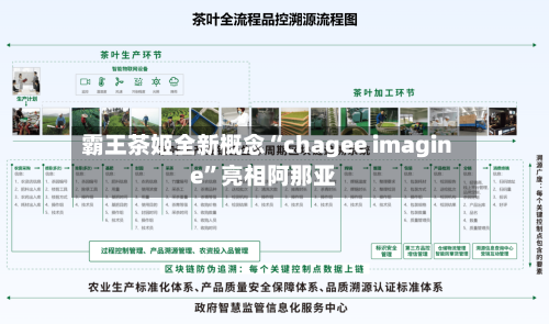 霸王茶姬全新概念“chagee imagine”亮相阿那亚-第2张图片