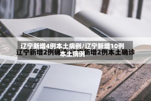 辽宁新增4例本土病例/辽宁新增10例本土病例