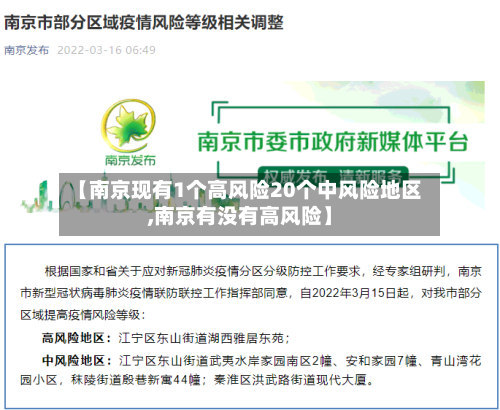 【南京现有1个高风险20个中风险地区,南京有没有高风险】-第2张图片