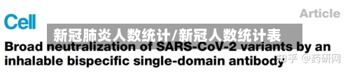 新冠肺炎人数统计/新冠人数统计表-第3张图片