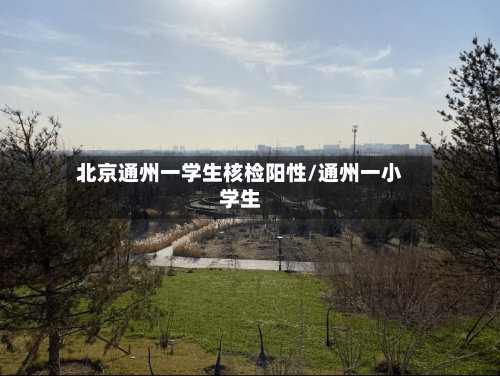 北京通州一学生核检阳性/通州一小学生-第2张图片
