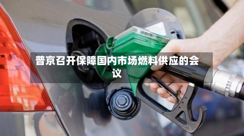 普京召开保障国内市场燃料供应的会议