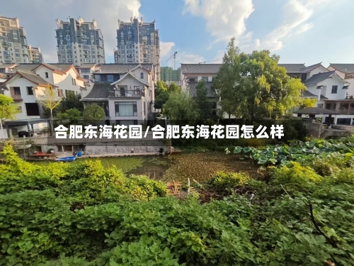 合肥东海花园/合肥东海花园怎么样