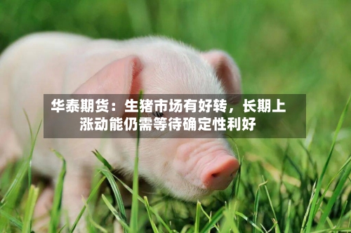 华泰期货：生猪市场有好转	，长期上涨动能仍需等待确定性利好-第2张图片