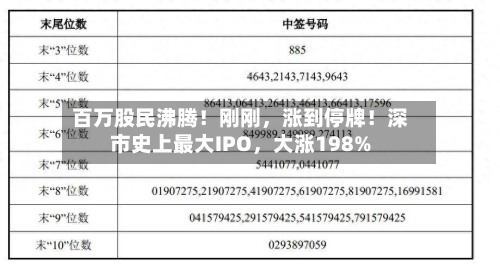 百万股民沸腾！刚刚	，涨到停牌！深市史上最大IPO，大涨198%-第2张图片