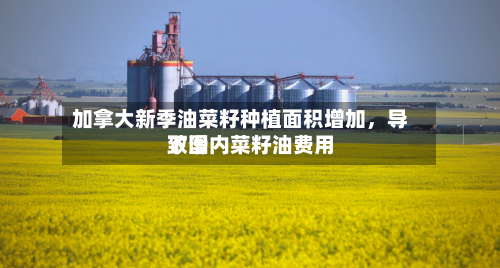 加拿大新季油菜籽种植面积增加，导致国内菜籽油费用下滑-第3张图片