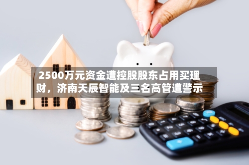 2500万元资金遭控股股东占用买理财，济南天辰智能及三名高管遭警示-第3张图片