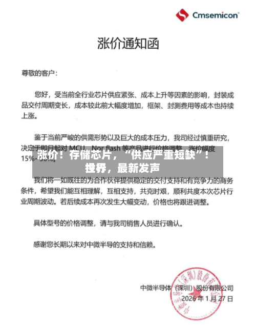 涨价！存储芯片	，“供应严重短缺”！世界投行，最新发声-第2张图片