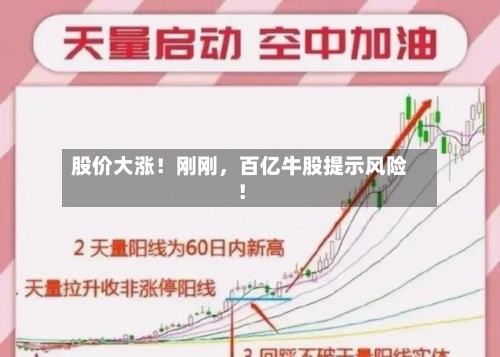 股价大涨！刚刚，百亿牛股提示风险！-第3张图片