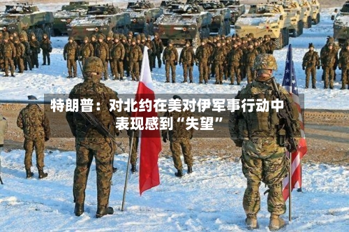 特朗普：对北约在美对伊军事行动中表现感到“失望”-第3张图片