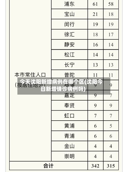 今天沈阳新增病例在哪个区(沈阳今日新增确诊病例吗)-第3张图片