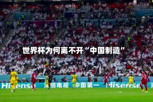 世界杯为何离不开“中国制造”-第2张图片
