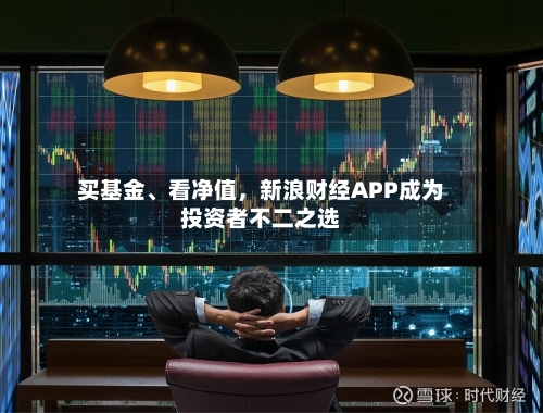 买基金	、看净值	，新浪财经APP成为投资者不二之选-第3张图片