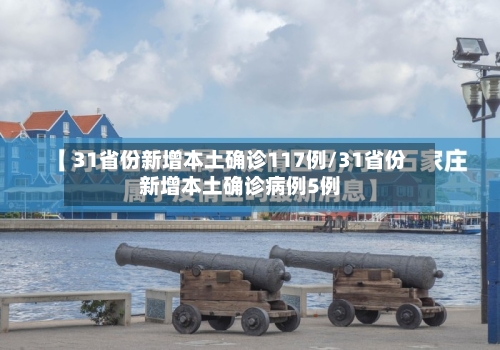 31省份新增本土确诊117例/31省份新增本土确诊病例5例