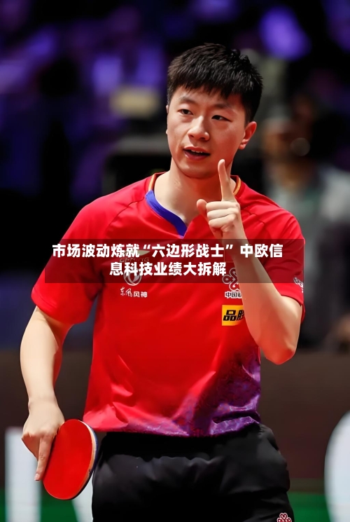 市场波动炼就“六边形战士” 中欧信息科技业绩大拆解-第2张图片