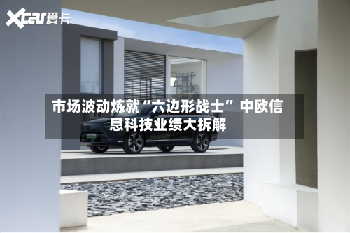 市场波动炼就“六边形战士” 中欧信息科技业绩大拆解-第3张图片