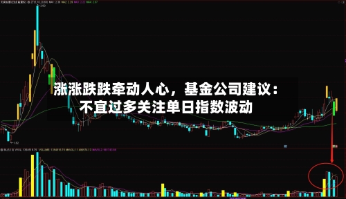 涨涨跌跌牵动人心，基金公司建议：不宜过多关注单日指数波动-第3张图片