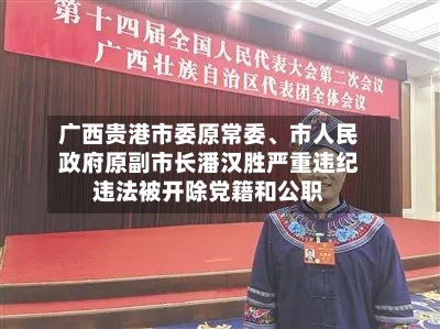 广西贵港市委原常委	、市人民政府原副市长潘汉胜严重违纪违法被开除党籍和公职-第2张图片