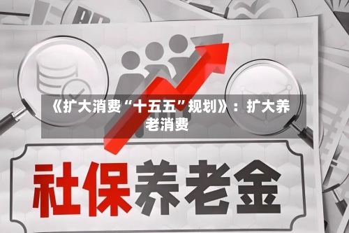 《扩大消费“十五五”规划》：扩大养老消费-第2张图片
