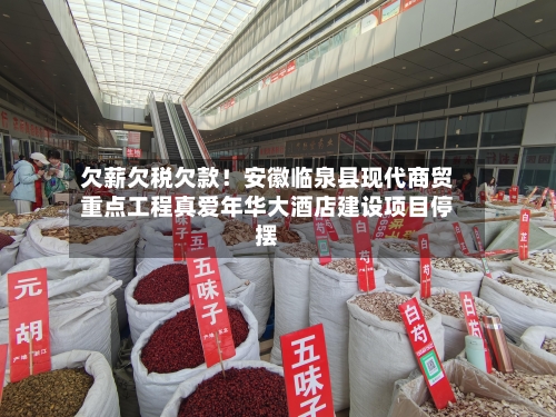 欠薪欠税欠款!安徽临泉县现代商贸重点工程真爱年华大酒店建设项目停摆-第2张图片