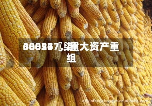 68827〖柒〗、300567	，重大资产重组-第2张图片