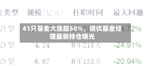 41只基金大涨超50%，绩优基金经理最新持仓曝光-第3张图片