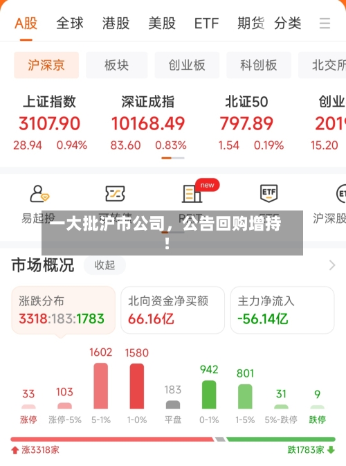 一大批沪市公司	，公告回购增持！-第3张图片