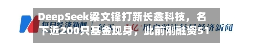 DeepSeek梁文锋打新长鑫科技	，名下近200只基金现身，此前刚融资510亿-第3张图片