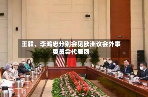 王毅	、李鸿忠分别会见欧洲议会外事委员会代表团-第3张图片