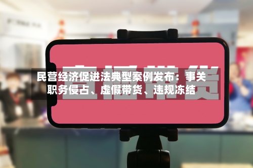 民营经济促进法典型案例发布：事关职务侵占、虚假带货	、违规冻结-第2张图片