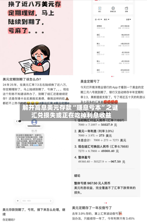 解开高息美元存款“赚息亏本”之谜 汇兑损失或正在吃掉利息收益-第2张图片