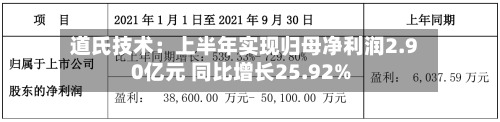 道氏技术：上半年实现归母净利润2.90亿元 同比增长25.92%-第2张图片