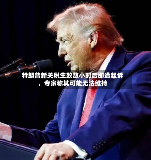 特朗普新关税生效数小时后即遭起诉	，专家称其可能无法维持-第3张图片