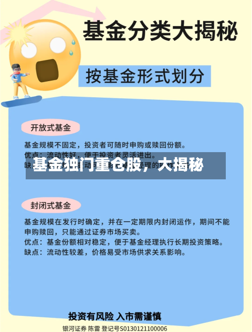 基金独门重仓股，大揭秘-第3张图片