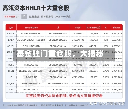 基金独门重仓股，大揭秘-第2张图片